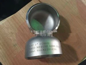 Rostfritt stål ASTM A 403  WP 321 / WP 347 / WP 316 Ti / WP 310 S Butt-Welding Cap