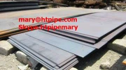 Alloy X Plate Plåt