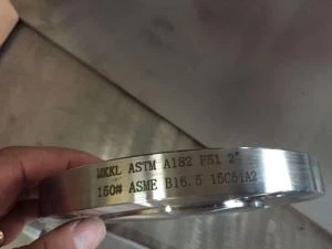 ASTM A182 F51 BL FLÄNSAR
