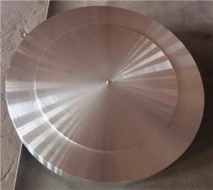 ASTM A 266 GR. 1 Smide Ring Disc