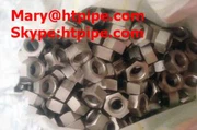 Hastelloy B 2 UNS N 10665 Bultmutterbricka